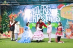 Merry Christmas 2024 - Ghi dấu mùa Giáng sinh an lành Hoa Trạng Nguyên